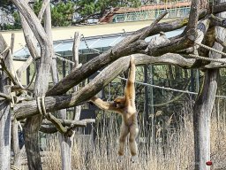 Tiergarten Schönbrunn am 23.03.2023